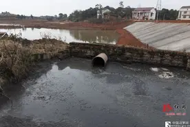 规模养猪 期待破解环保之殇图片