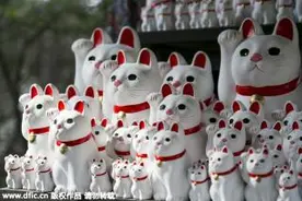 日本一寺庙展出成千上万只“招财猫”图片