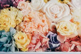 情人节表白利器 篇一：浪漫DIY永生花盒图片