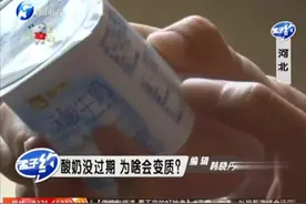 酸奶在保质期内竟然会变质！专家：乳酸菌变活跃后，会二次发酵！视频封面
