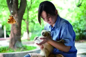 金猴送福乐满园--上海动物园2016猴年生肖文化节闪亮登场图片
