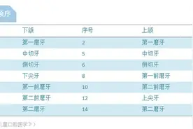 孩子换牙的时候，有哪些需要注意的？图片