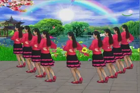 初级入门广场舞《花蝴蝶》简单易学，好听更好看