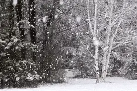 紧急通知！绍兴今晚开始下中雪，这场雪要下到周一！图片