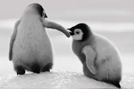 在这两个时辰出生的人，一生当中比较容易碰到贵人相助图片