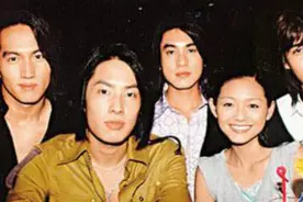 再次听这首“情非得已”，依旧想起那段流星花园的时光！太美好了图片
