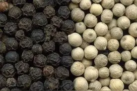 会生活丨一分钟学会正确使用黑胡椒白胡椒红胡椒绿胡椒！图片
