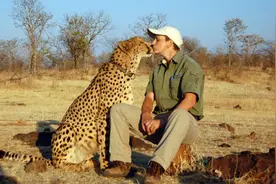 亲人全被狮子杀光，可怜孤儿猎豹把女人当妈图片