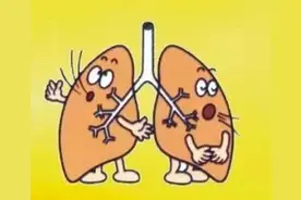 中医如何看待“肺”的生理功能图片