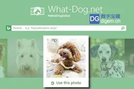 汪星人也自拍 微软Fetch应用可识别狗狗品种图片
