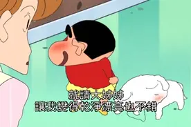 蜡笔小新：小新你在干什么呀，连小白都害羞的抬不起头来了！视频封面