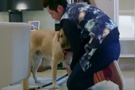 这只狗只听主人的话，他说什么都不听，真是狗懂人性