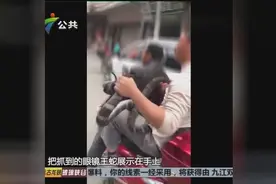 韶关：男子猎捕眼镜王蛇，公安介入调查视频封面
