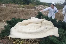 看美女们是如何把火惹起来，又跟帅哥一起把火灭掉的