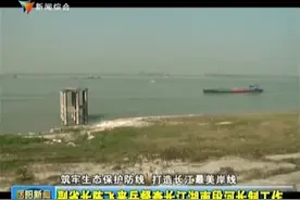 副省长陈飞来岳督查长江湖南段河长制工作视频封面