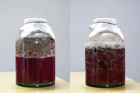 家庭自酿葡萄酒，有酸味的几个原因...图片