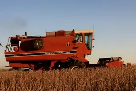 美国农民也在使用机龄超过30年的收割机图片