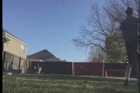 男孩用摄像机记录自己射门瞬间，然而自家狗狗的行为却让他抓狂！图片