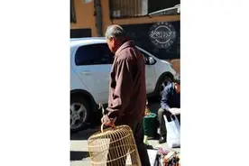 老太原人的一天图片