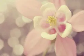 姐姐一直劝说我和男友和好，爸妈在不知道的情况下说出了原因图片