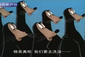 米线动物园喂海豹，喂回来一只小海豹，小海豹带回一群大海豹！