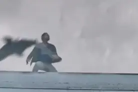 鲨鱼不在海里，竟从天飞落袭击还能咬人，这剧情太科幻了