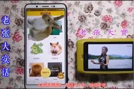 教你一招，在手机里养宠物，我的手机里养了一只可爱的兔子视频封面