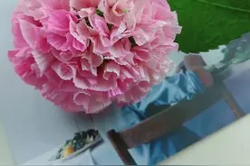 有喜欢绣球花的嘛，快看过来，学会了自己也可以做哦#手工 @抖音小助手视频封面