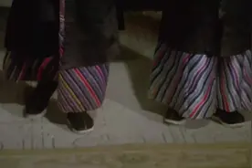 古代臣子叩拜皇上的时候掸袖，显示身份尊卑，表示对皇上的尊敬视频封面