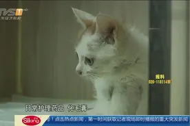 创业最新高收入职业：宠物医生月入2万视频封面