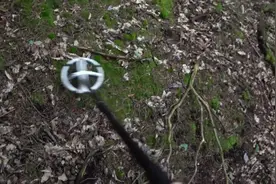 金属探测器在森林里找宝贝，结果摘到不少樱桃