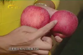 挑选甜苹果的3个小技巧，记住这几点，买苹果一挑一个准！
