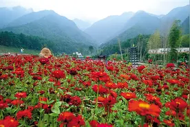 韶关当季旅游新玩法图片