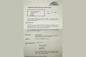 荒谬！英少女因用薯条喂食鸽子被指控破坏环境图片