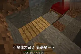 我的世界荒野贝爷生存；偶然遇到天然矿石发家视频封面