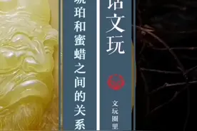 琥珀是啥，蜜蜡又是啥！大部分人不明白为什么琥珀不是蜜蜡！#琥珀蜜蜡视频封面
