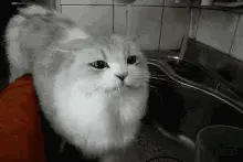 热点80分及格，以后开网约车要考试啦！图片