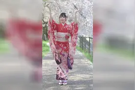 「咬人猫」樱花篇关注不迷路视频封面