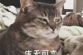 有毒！双十一禁买清单图片