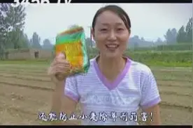 听听农民兄弟姐妹，讲一下金坷垃的好处，忍住别笑！哈哈哈