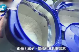 网购“爱他美”奶粉竟发现活虫？店家：高蛋白物质容易招虫
