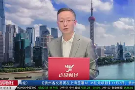 徐世荣：对IPO的建议视频封面