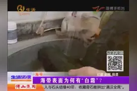 海带表面为何有“白霜”视频封面