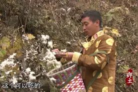 藏族同胞太会玩，用棉花做美食，既简单又方便，好吃又不长胖