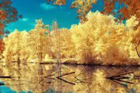 有谁听过这首歌吗？挺好听的一首歌，不知为什么歌手没有火起来