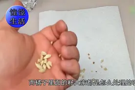 橘子籽可别丢掉了，放在家里利用起来，一年能省不少钱呢！视频封面