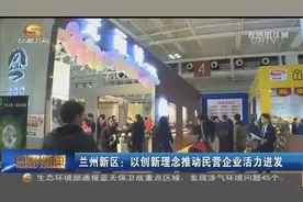 兰州新区：以创新理念推动民营企业活力迸发