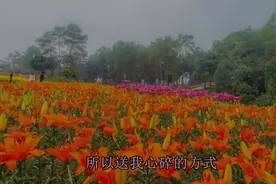 你可以是天使也可以是魔鬼，简弘亦这首歌曲唱出多少人的心声！