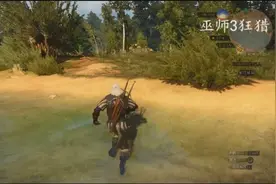巫师3狂猎，升级的诀窍就是探寻问号的地点视频封面