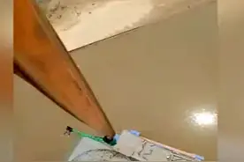 实拍妹子蹦极图片
